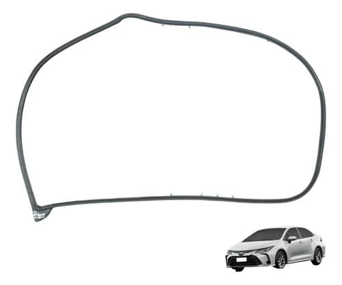 Borracha Porta Traseira Direita Toyota Corolla 2.0 2017 — foto 1 de 5