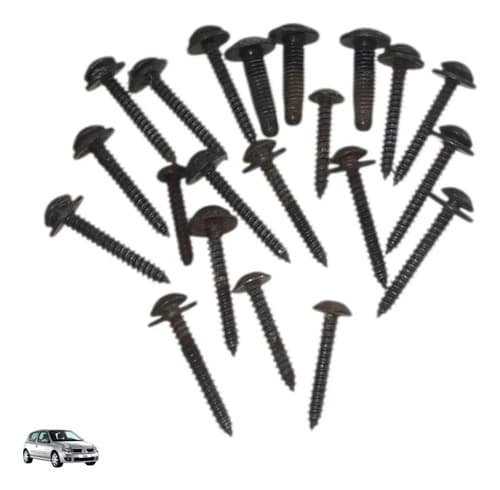 Kit Parafusos Forro Da Porta Renault Clio 2006 A 2012 — foto 1 de 5